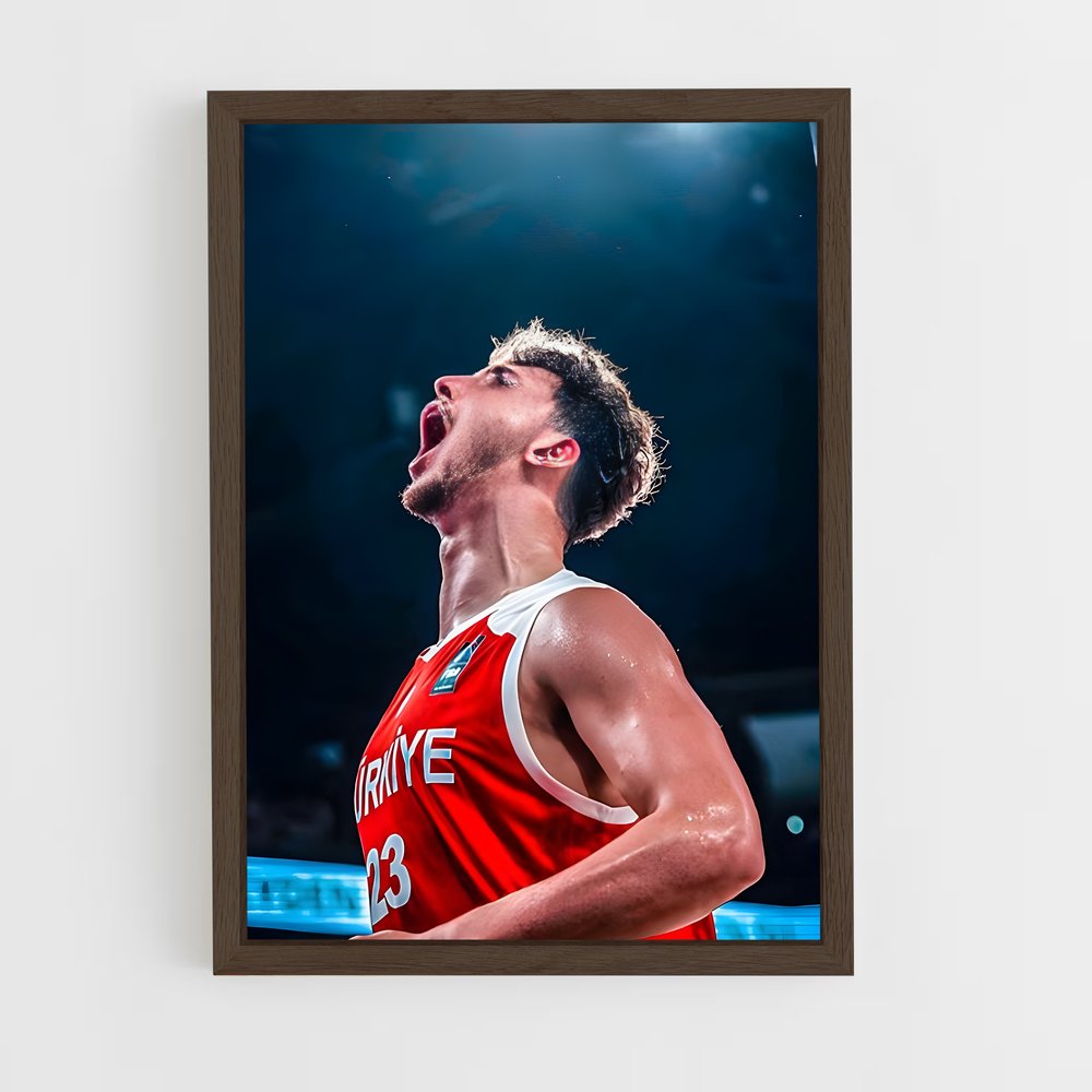 Poster Anadolu efes – affiche Basketball (vue 5)